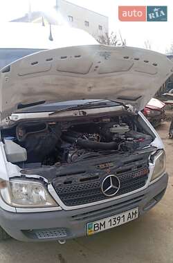 Інші автобуси Mercedes-Benz Sprinter 2004 в Сумах