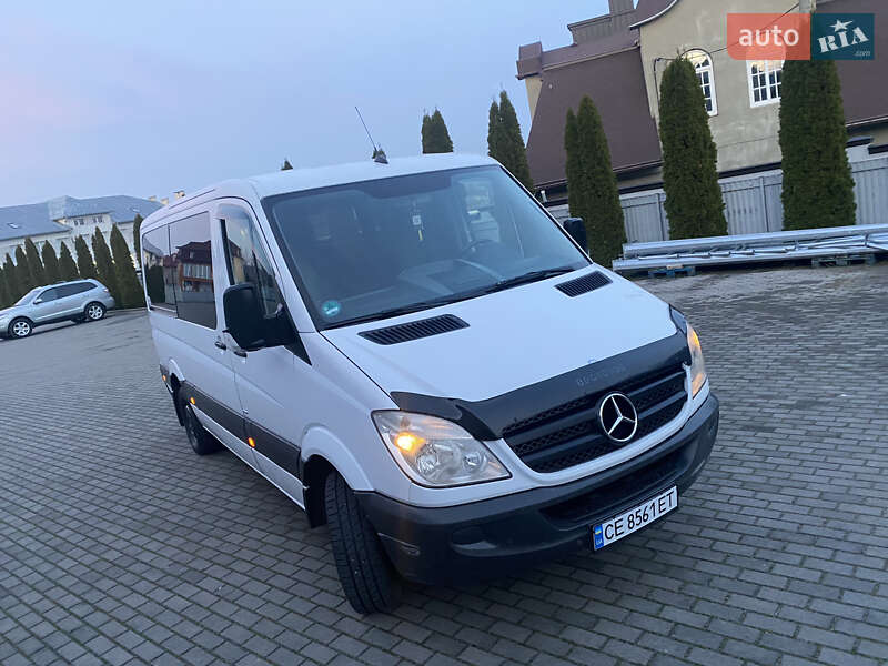 Минивэн Mercedes-Benz Sprinter 2013 в Черновцах