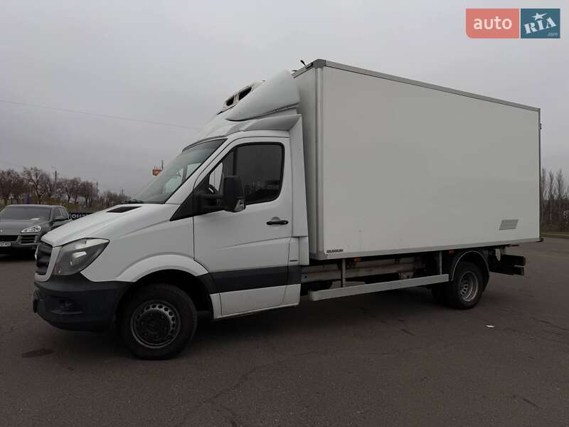 Другие грузовики Mercedes-Benz Sprinter 2014 в Кривом Роге
