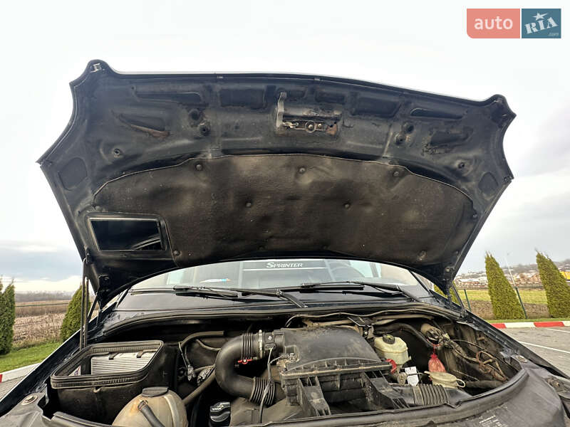 Минивэн Mercedes-Benz Sprinter 2008 в Каменец-Подольском