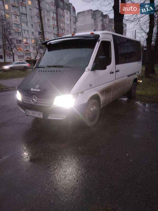 Минивэн Mercedes-Benz Sprinter 2005 в Хмельницком