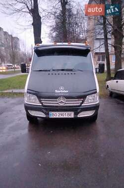Минивэн Mercedes-Benz Sprinter 2005 в Хмельницком