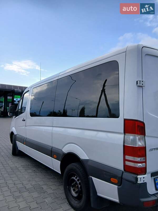 Микровэн Mercedes-Benz Sprinter 2014 в Луцке