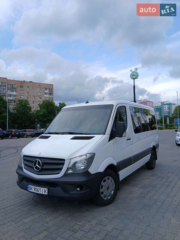 Микровэн Mercedes-Benz Sprinter 2014 в Луцке