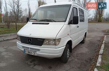 Мікроавтобус Mercedes-Benz Sprinter 1995 в Кременчуці