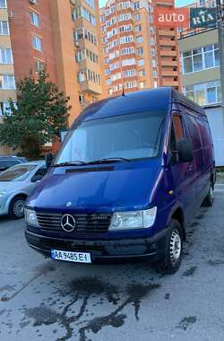 Вантажний фургон Mercedes-Benz Sprinter 2000 в Новомиргороді