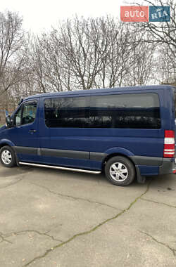 Мікроавтобус Mercedes-Benz Sprinter 2014 в Миколаєві