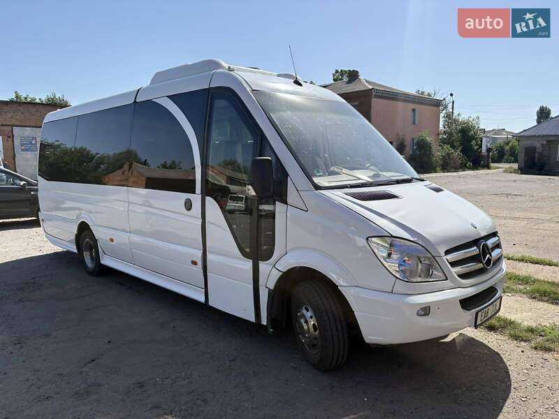 Мікроавтобус Mercedes-Benz Sprinter 2010 в Солотвині