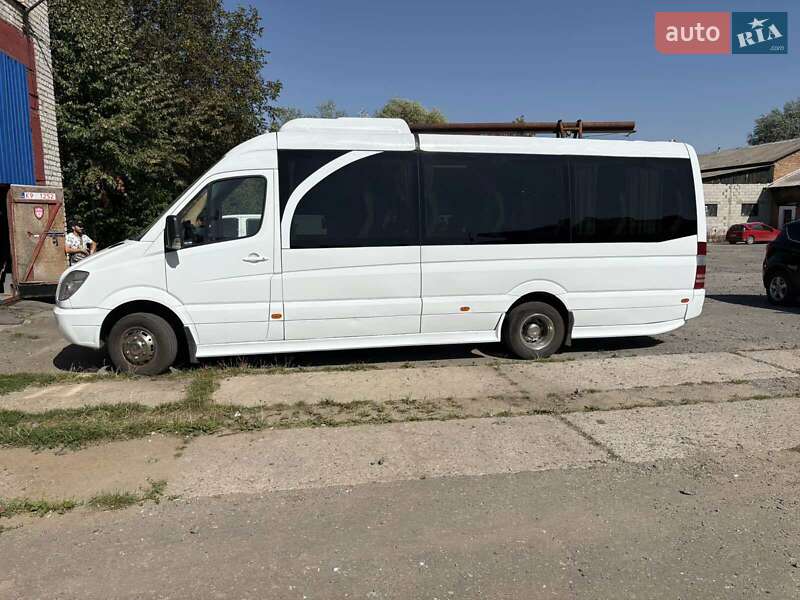 Мікроавтобус Mercedes-Benz Sprinter 2010 в Солотвині