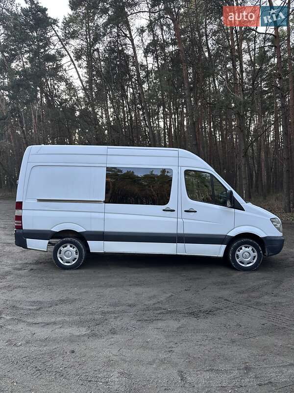 Минивэн Mercedes-Benz Sprinter 2008 в Кременце