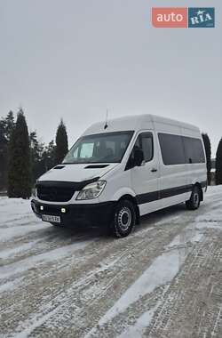 Мікроавтобус Mercedes-Benz Sprinter 2009 в Бучачі