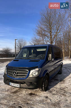 Грузопассажирский фургон Mercedes-Benz Sprinter 2014 в Хмельницком