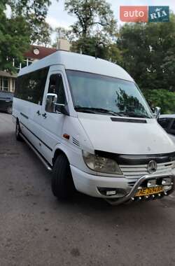 Микроавтобус Mercedes-Benz Sprinter 2002 в Днепре