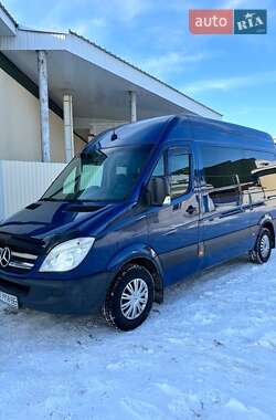 Минивэн Mercedes-Benz Sprinter 2007 в Славуте