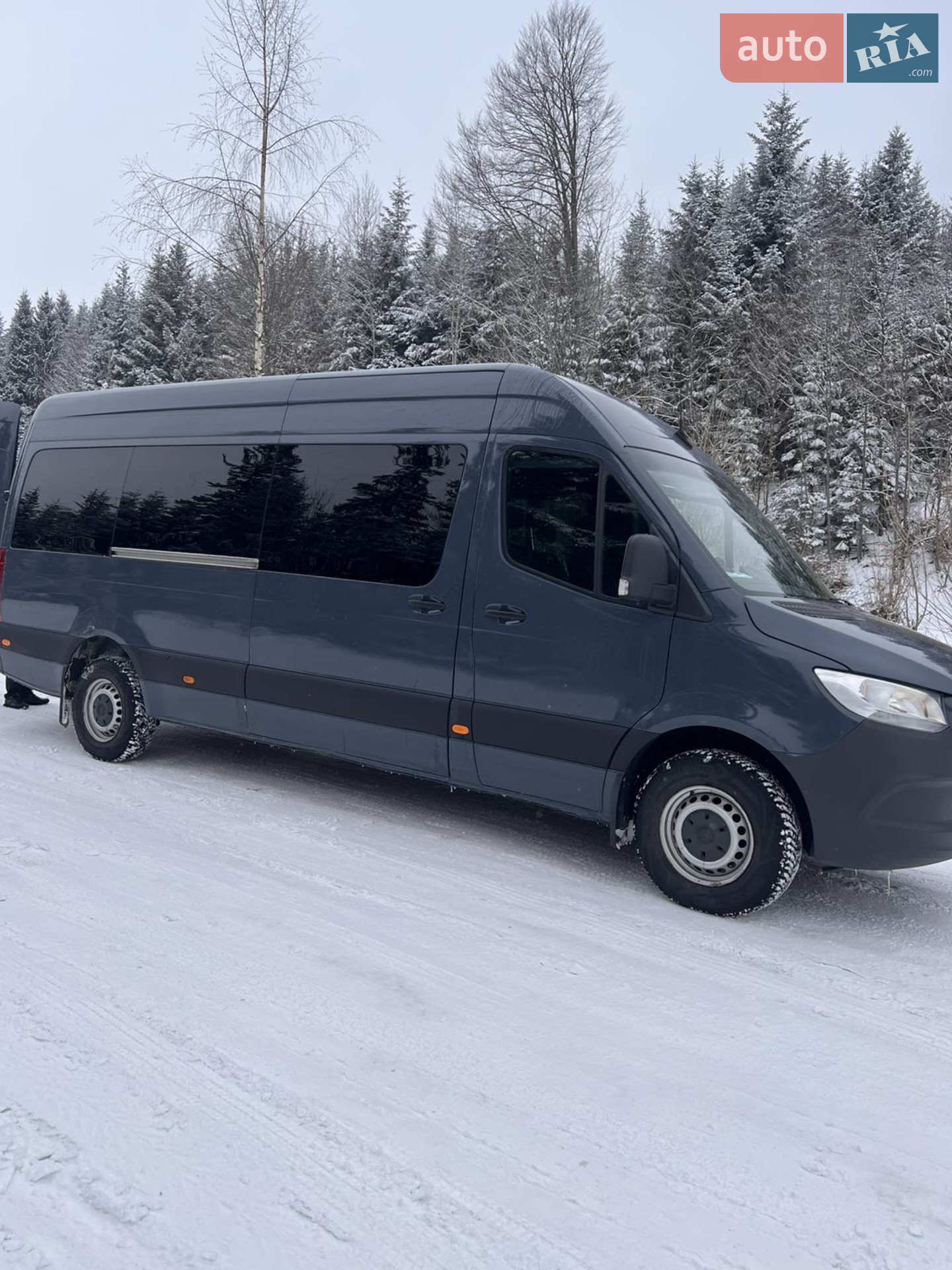 2019 Mercedes-Benz Sprinter - мініатюра 10