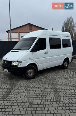 Вантажний фургон Mercedes-Benz Sprinter 1995 в Кропивницькому