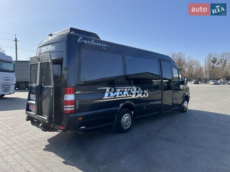 Mercedes-Benz Sprinter 2010 Mercedes-Benz Sprinter 2010