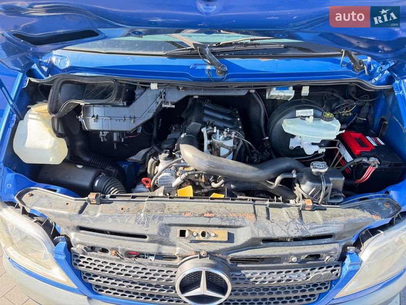 Микроавтобус Mercedes-Benz Sprinter 2006 в Мукачево