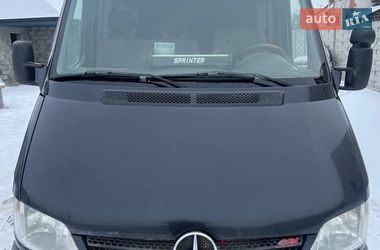 Мікроавтобус Mercedes-Benz Sprinter 2002 в Кагарлику