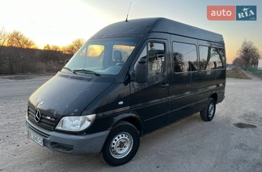 Минивэн Mercedes-Benz Sprinter 2003 в Полтаве