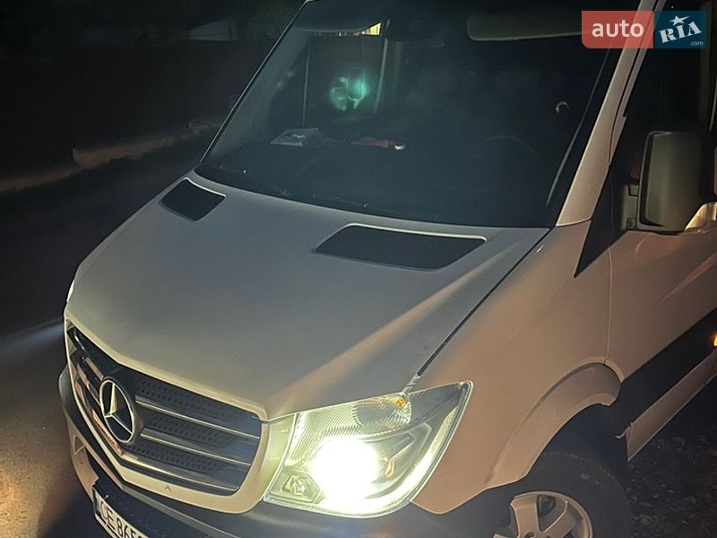 Микроавтобус Mercedes-Benz Sprinter 2014 в Сваляве