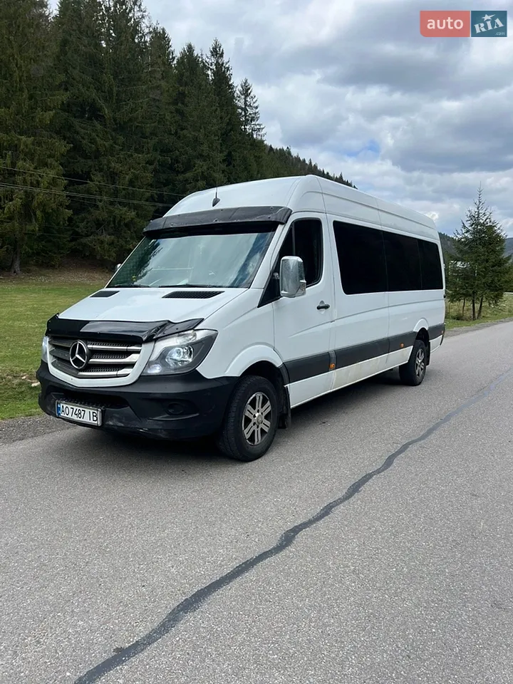 2010 Mercedes-Benz Sprinter - мініатюра 5