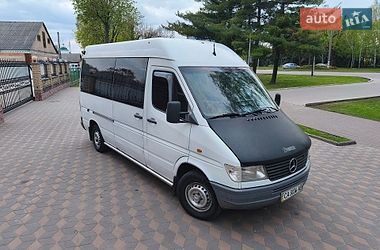 Мікроавтобус Mercedes-Benz Sprinter 1997 в Лубнах