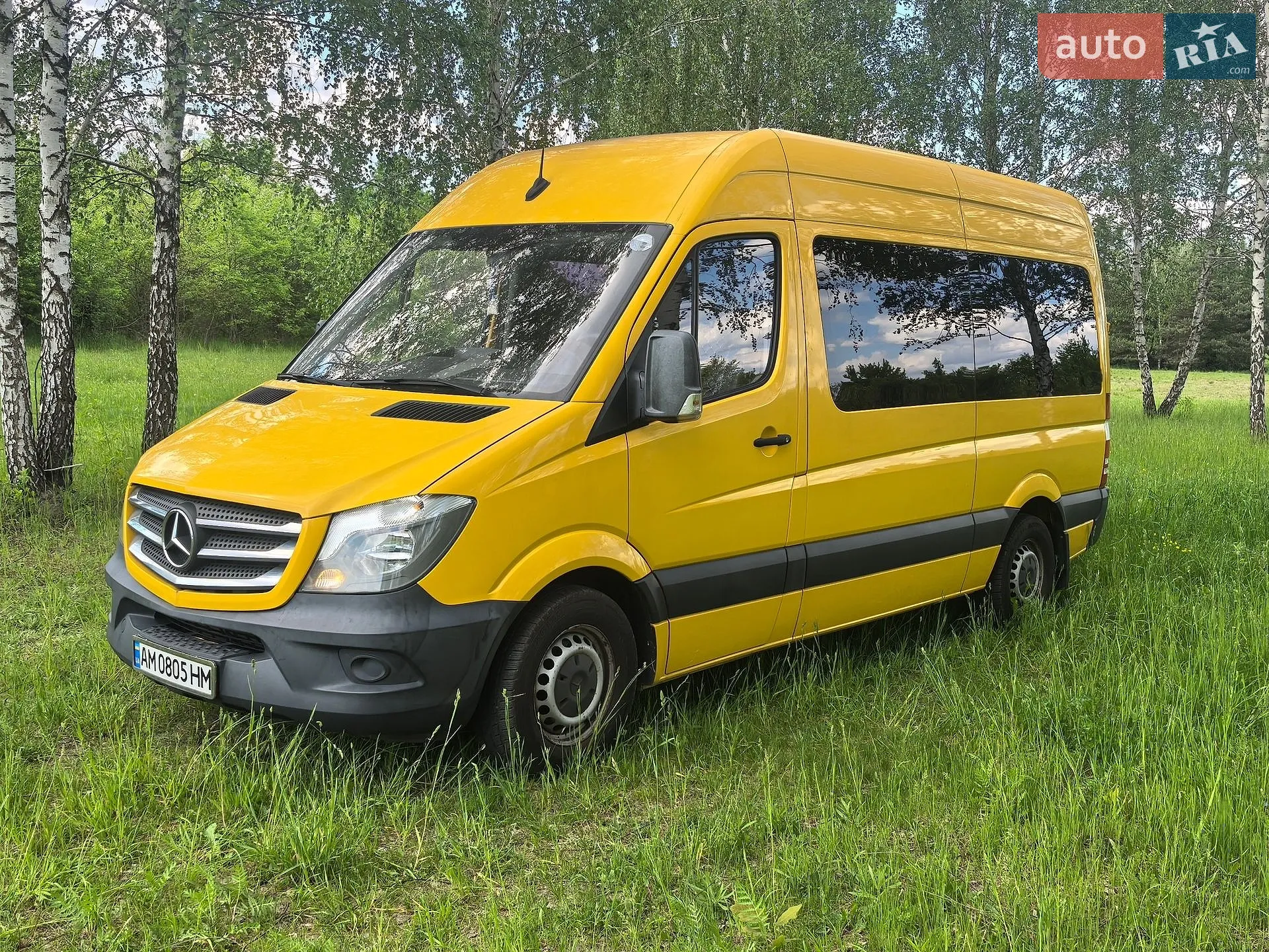 2018 Mercedes-Benz Sprinter - мініатюра 3
