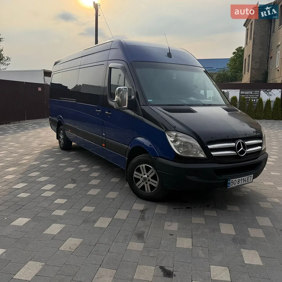 2010 Mercedes-Benz Sprinter - мініатюра 10