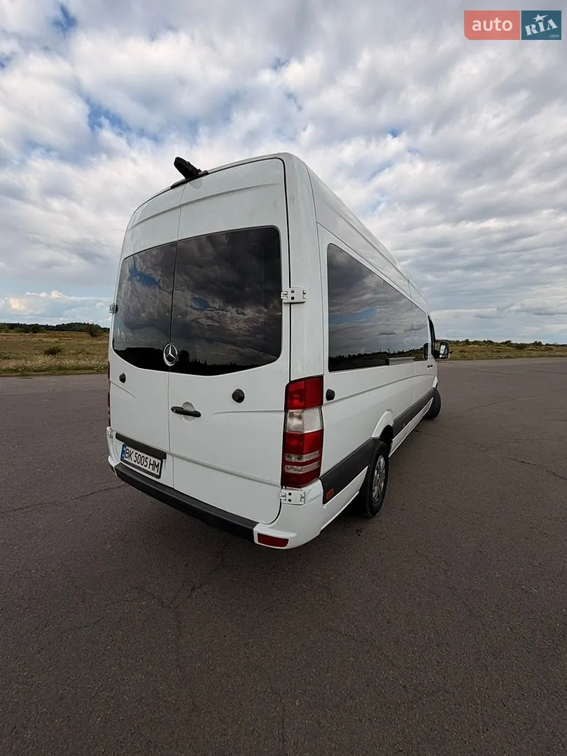 2010 Mercedes-Benz Sprinter - мініатюра 10
