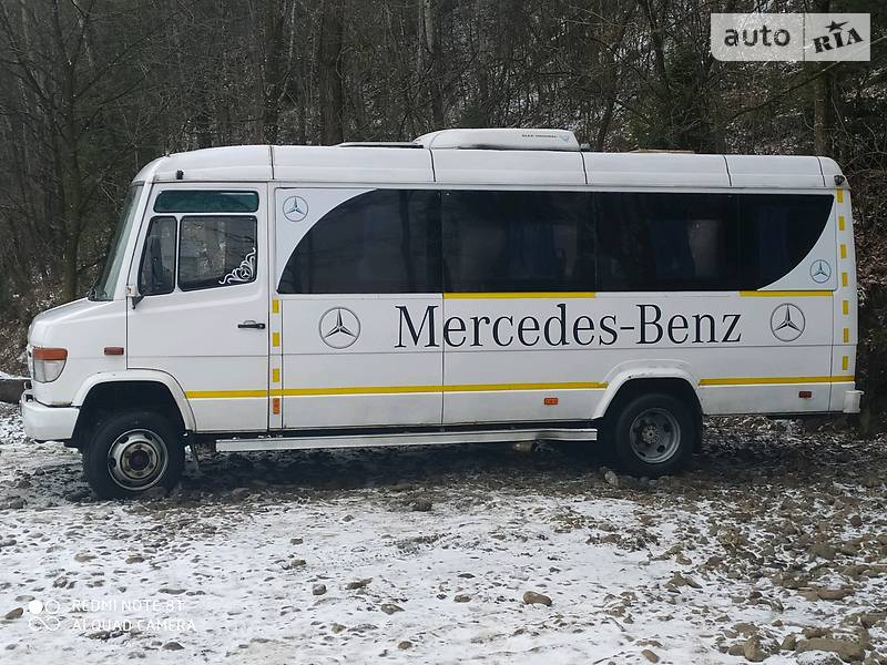 Микроавтобус Mercedes-Benz Vario 2000 в Надворной