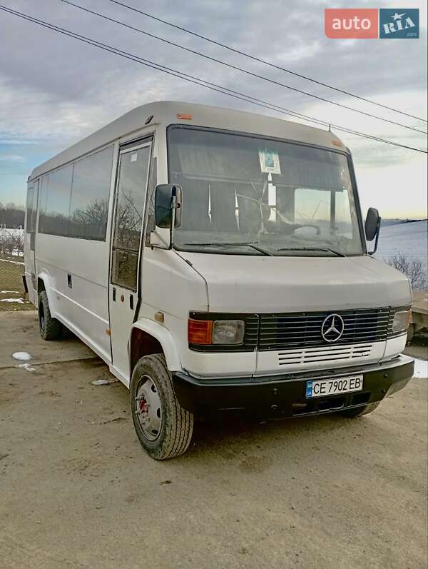 Пригородный автобус Mercedes-Benz Vario 1995 в Герце