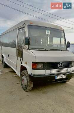 Пригородный автобус Mercedes-Benz Vario 1995 в Герце