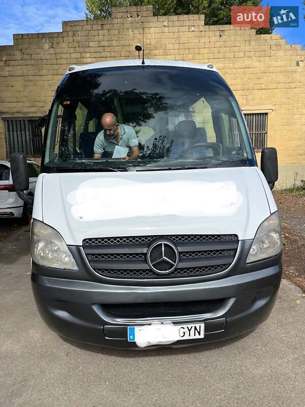 Mercedes-Benz Vario 2010