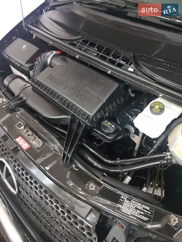 Минивэн Mercedes-Benz Vito 2010 в Тернополе
