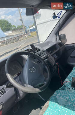 Микроавтобус Mercedes-Benz Vito 2002 в 