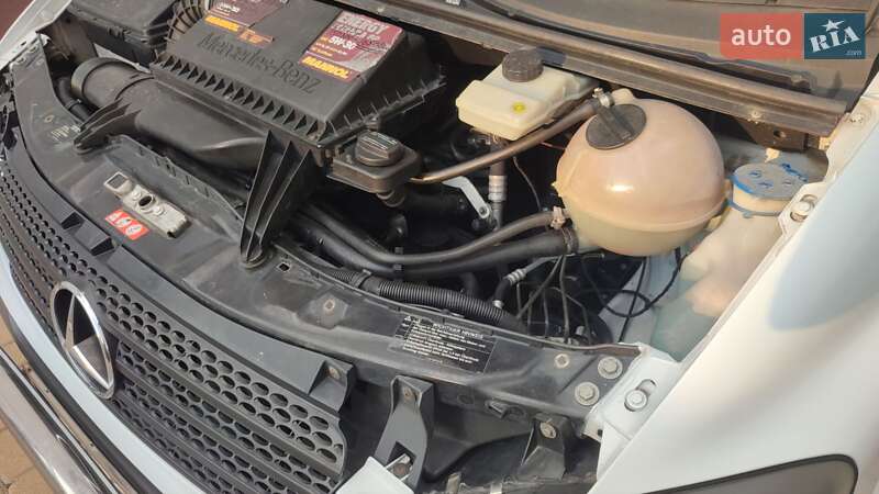 Минивэн Mercedes-Benz Vito 2006 в Мукачево