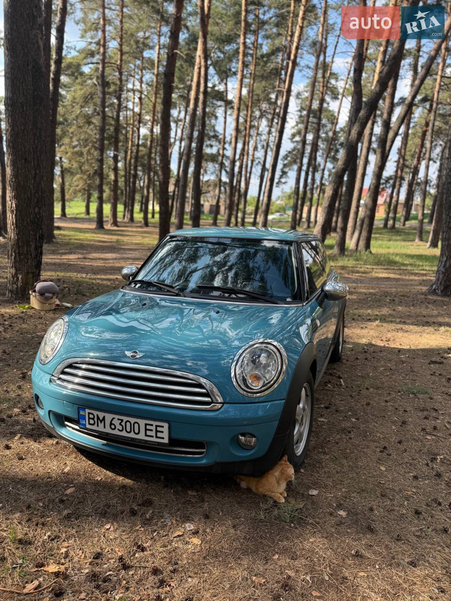 2010 MINI Cooper - мініатюра 2