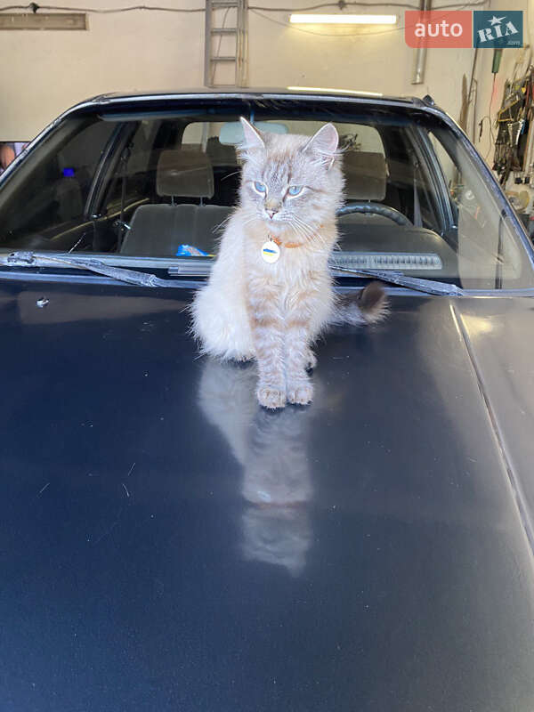 Седан Mitsubishi Galant 1988 в Черновцах фото 2 Седан Mitsubishi Galant 1988 в Черновцах