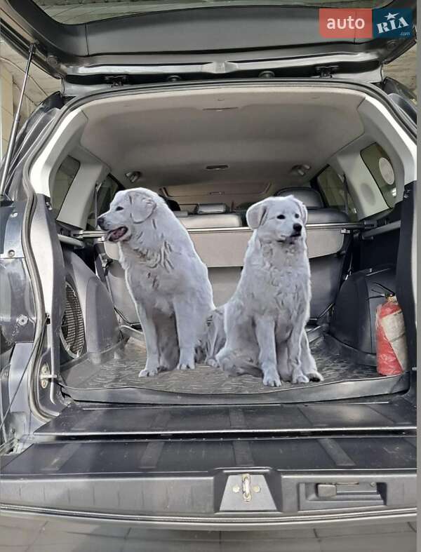 Позашляховик / Кросовер Mitsubishi Outlander 2007 в Чернігові