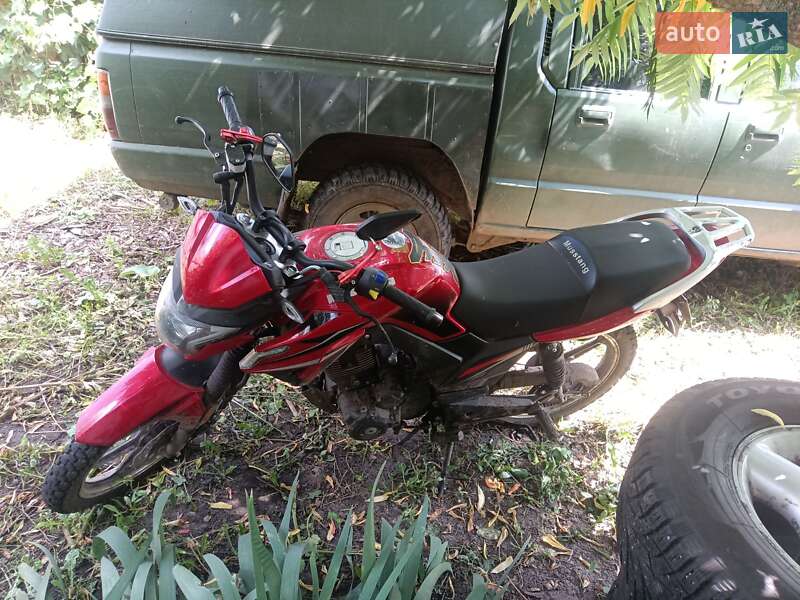Musstang 250 2024
