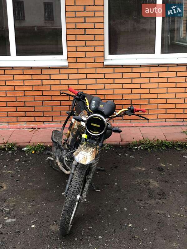 Musstang Dingo 2020