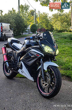 Мотоцикл Спорт-туризм Musstang MT 200-10 2014 в 