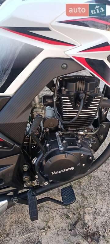 Мотоцикл Туризм Mustang BL 2021 в Сновске фото 5 Мотоцикл Туризм Mustang BL 2021 в Сновске