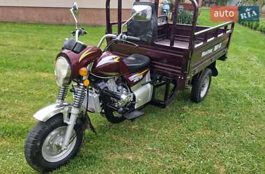 Грузовые трициклы Mustang BL 2019 в 