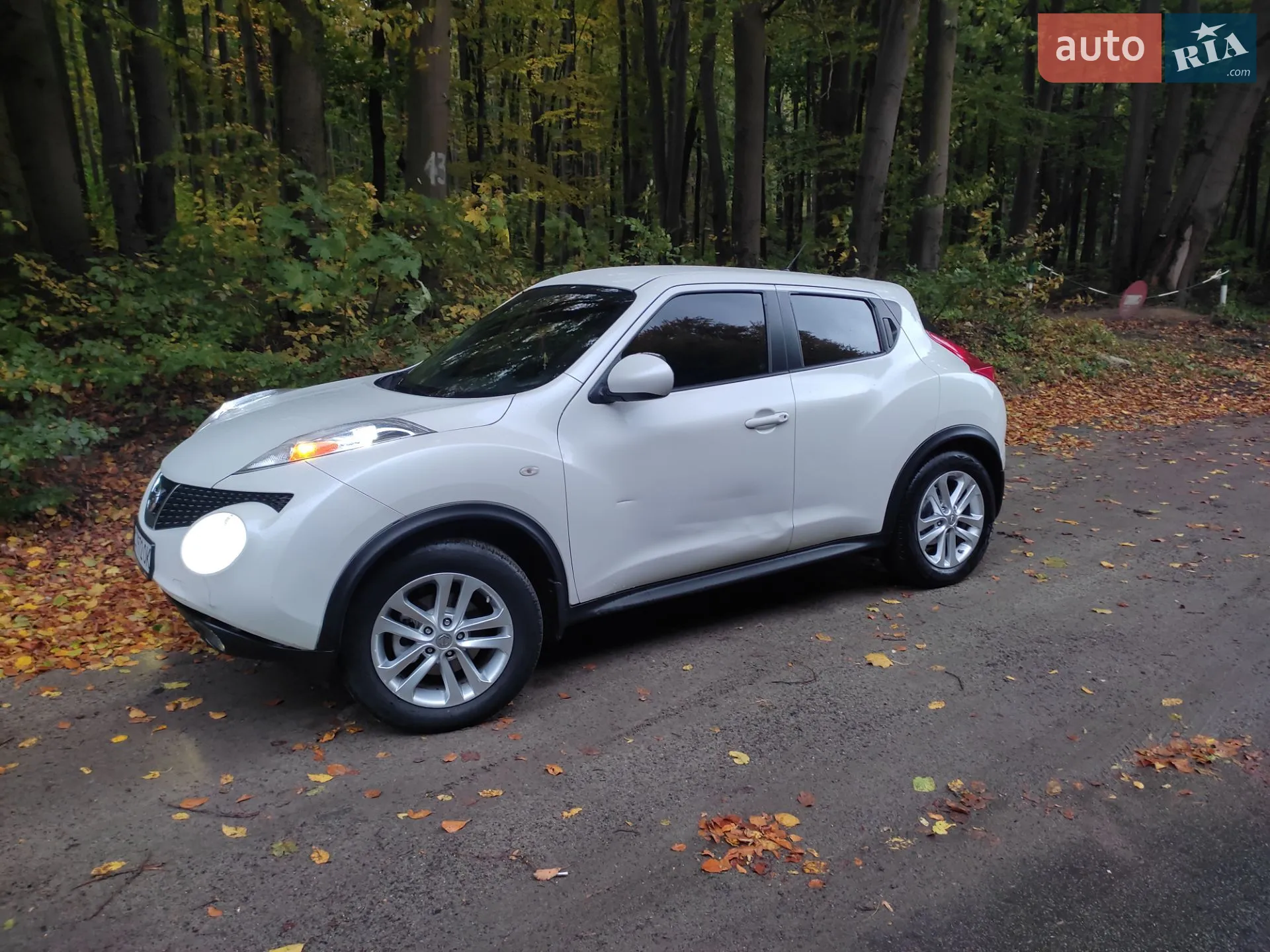 2013 Nissan Juke - фото 1