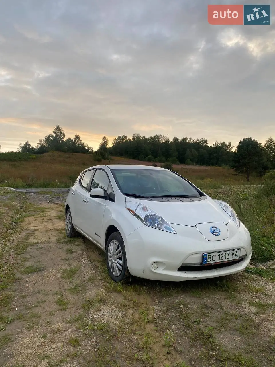 2014 Nissan Leaf - мініатюра 33