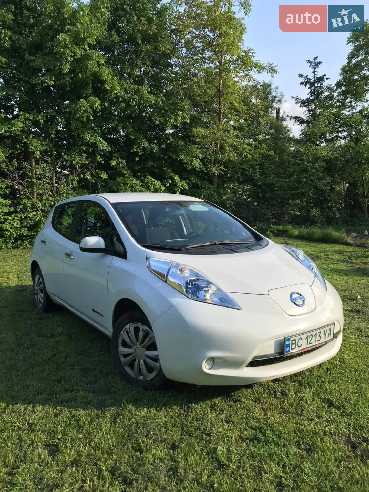 2013 Nissan Leaf - мініатюра 2