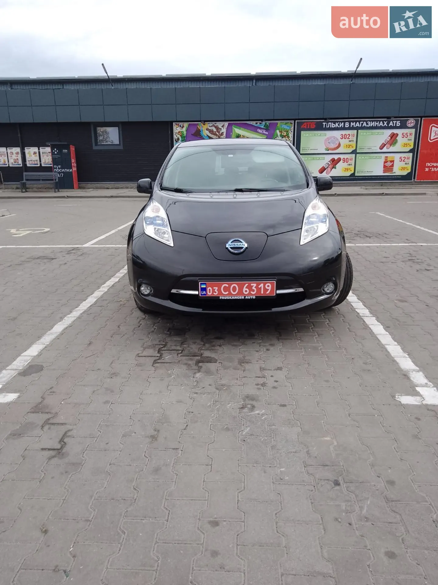 2014 Nissan Leaf - мініатюра 6