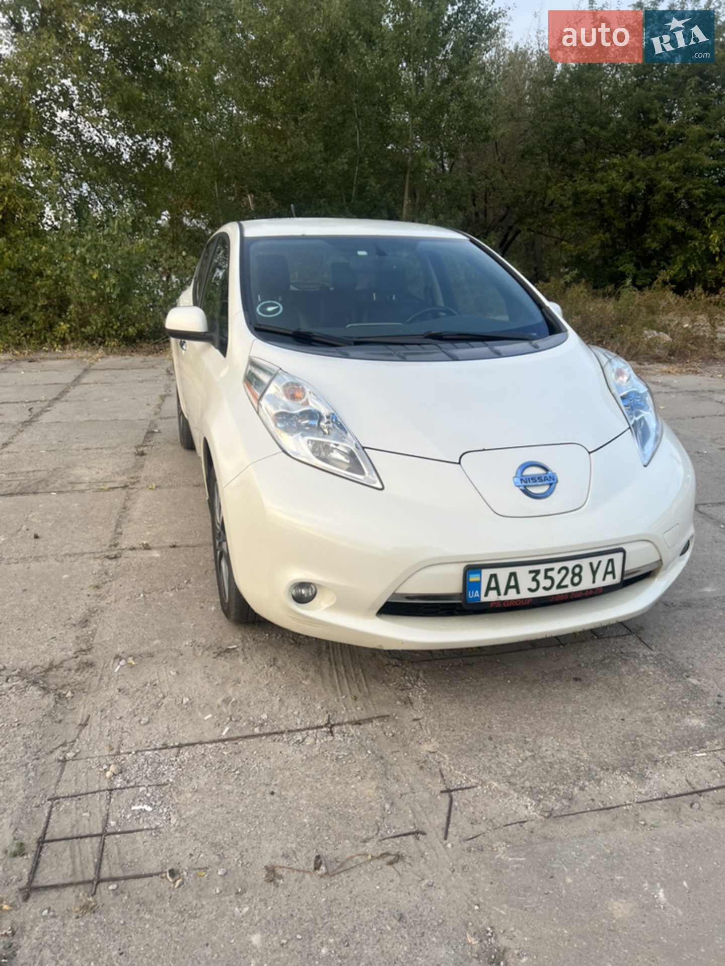 2013 Nissan Leaf - мініатюра 35